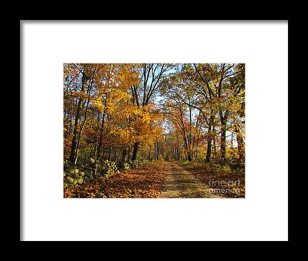 Autumn Framed Print featuring the photograph Chepachet Country Road by Lili Feinstein