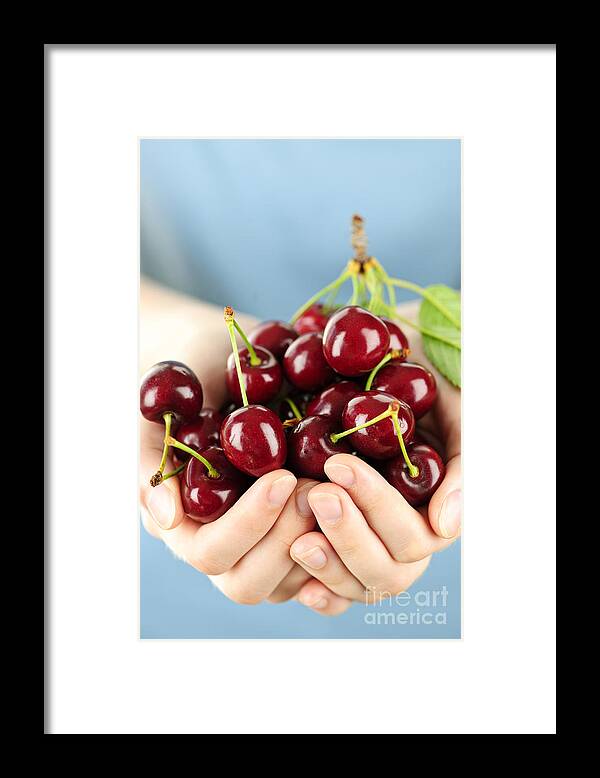 Cherries Framed Print featuring the photograph Cherries by Elena Elisseeva
