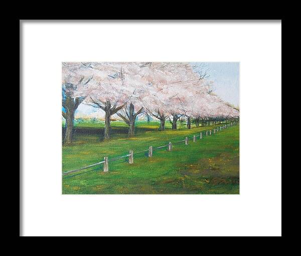 Landscape Framed Print featuring the painting Cherry Blossom Christchurch by Jane See