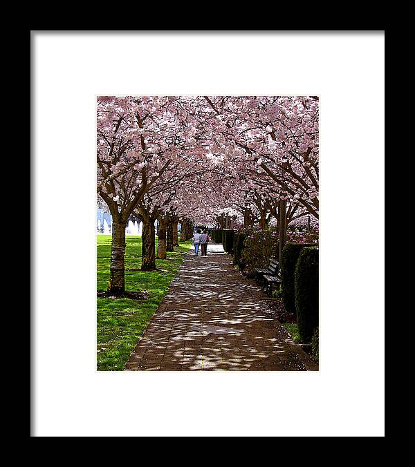 Cherry Trees Framed Print featuring the digital art Cherry Blossom Friends by Gary Olsen-Hasek
