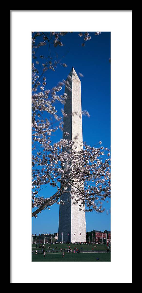 Photography Framed Print featuring the photograph Cherry Blossom In Front Of An Obelisk by Panoramic Images
