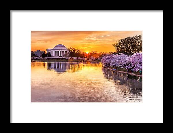 Tidal Basin Framed Print featuring the photograph Cherry blossom sunrise by Kevin Voelker Photography