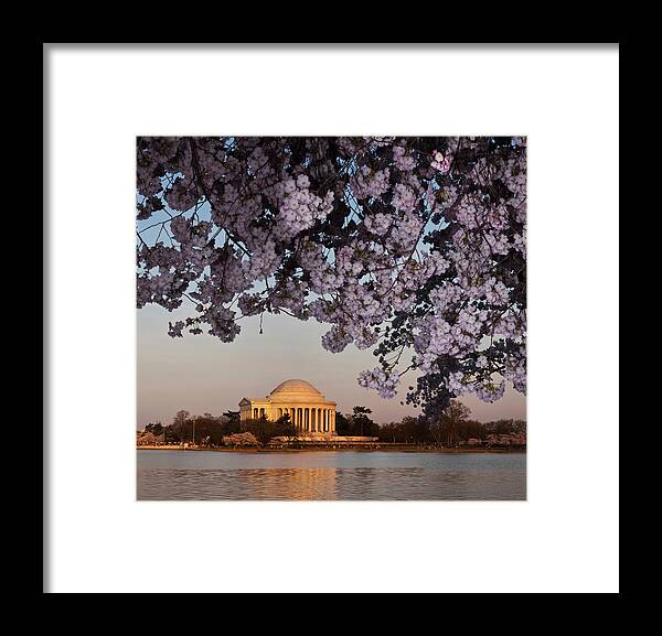 Photography Framed Print featuring the photograph Cherry Blossom Tree With A Memorial by Panoramic Images