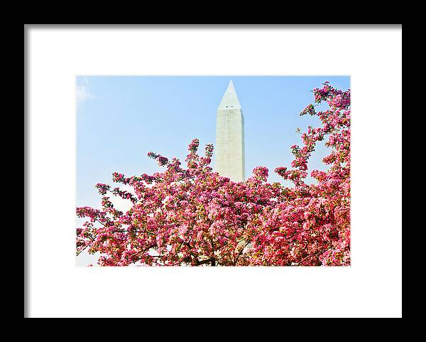 America Framed Print featuring the photograph Cherry Trees and Washington Monument Two by Mitchell R Grosky
