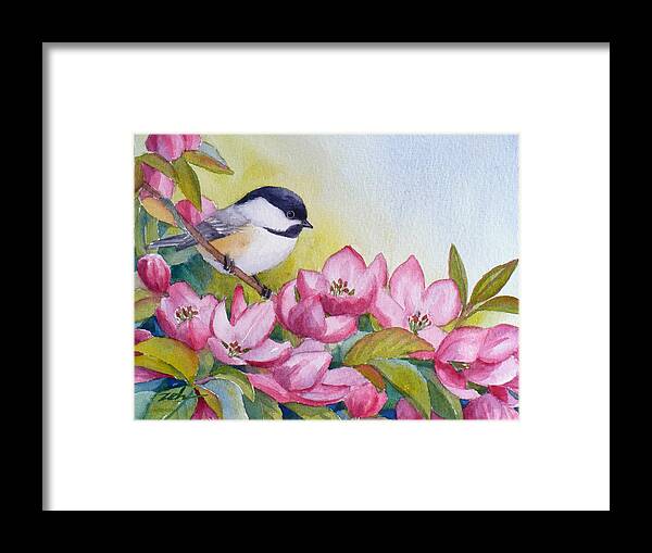 Bird Framed Print featuring the painting Chickadee and Crabapple Flowers by Janet Zeh