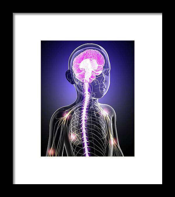 Artwork Framed Print featuring the photograph Child's Central Nervous System by Pixologicstudio