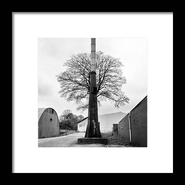 Instagramopolis Framed Print featuring the photograph Chimney Tree by Carlos Macia Perez
