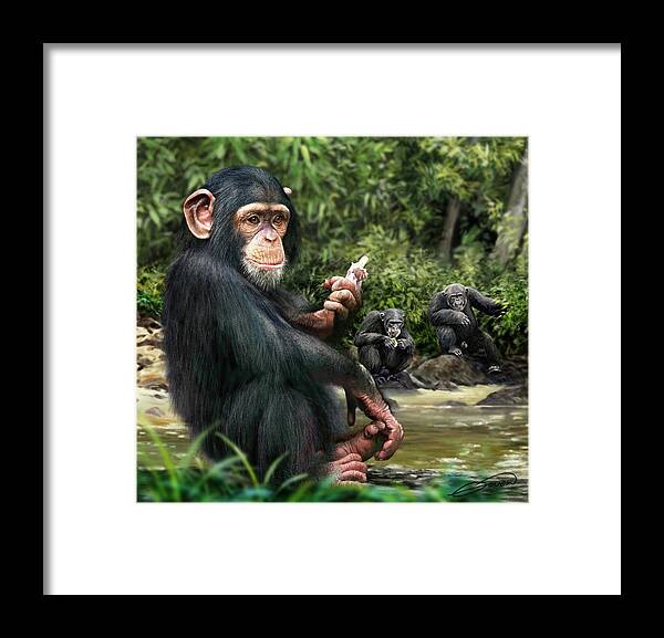 Chimpanzee Framed Print featuring the photograph Chimpanzee by Owen Bell