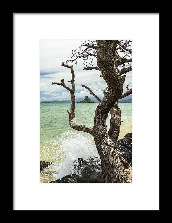 Aqua Framed Print featuring the photograph Chinaman's Hat 4 by Leigh Anne Meeks