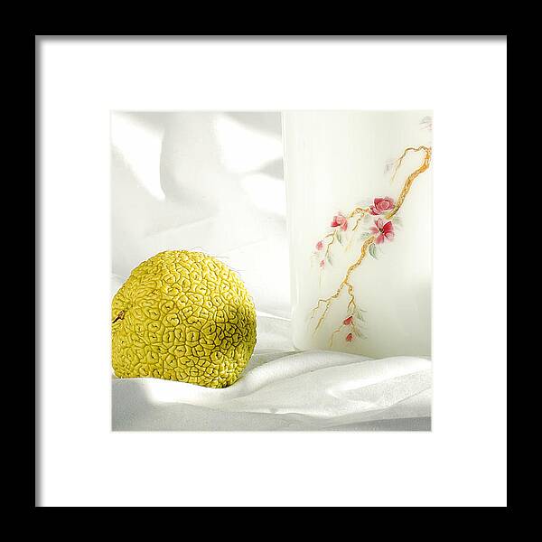 Apple Framed Print featuring the photograph Chinese orange. with a vase by Anna Aybetova