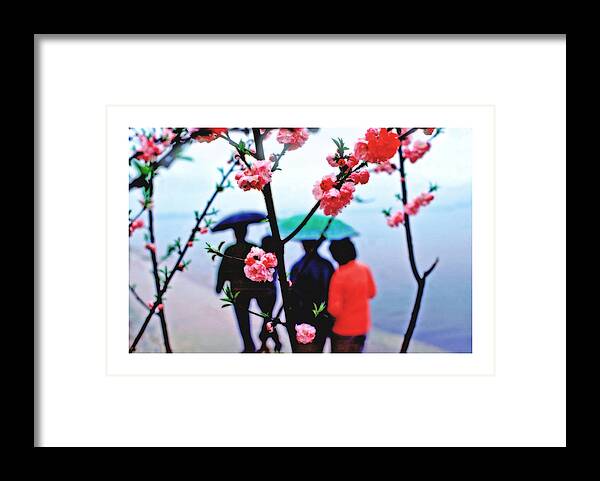 China Framed Print featuring the photograph Chinese Spring by Larry Mulvehill