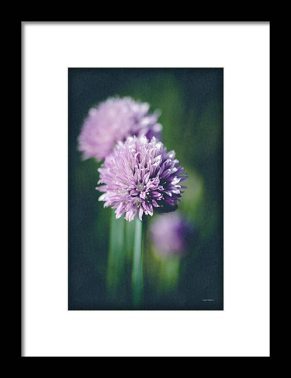 Green Chives Framed Print featuring the photograph Chives at Attention by Crystal Wightman