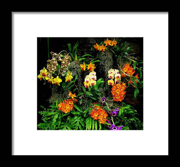 Fine Art Framed Print featuring the photograph Chorus by Rodney Lee Williams