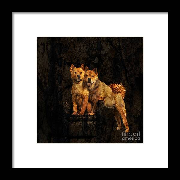 Chow Chow Framed Print featuring the photograph Chow Chow by Richard Mason