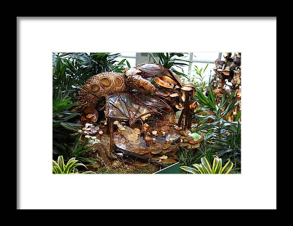 Washington Framed Print featuring the photograph Christmas Display - US Botanic Garden - 011331 by DC Photographer