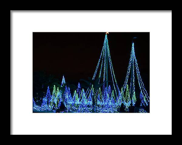 Lights Framed Print featuring the photograph Christmas Lights 1 by Richard Goldman
