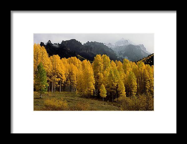 Colorado Framed Print featuring the photograph Cimarron Forks by Eric Glaser