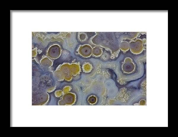 Geology Framed Print featuring the photograph Circle Designs In Luna Agate, Mexico by Darrell Gulin