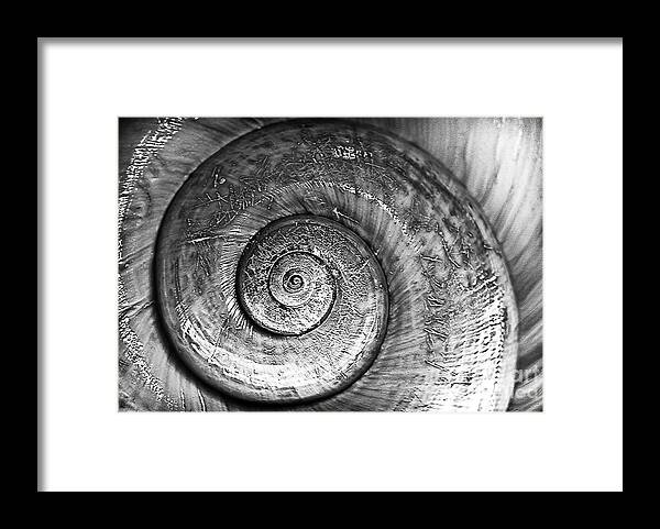 Circles Framed Print featuring the photograph Circles BW by Bruce Bain