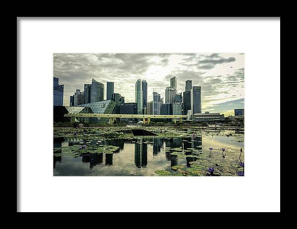 Tranquility Framed Print featuring the photograph City Skyline Reflection Over A Lotus by Boxedfish