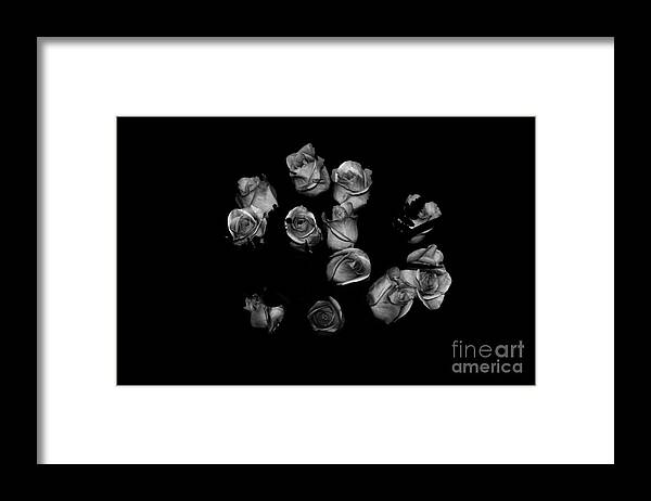 Prints Sale Framed Print featuring the photograph Classic Black Roses by Oksana Semenchenko