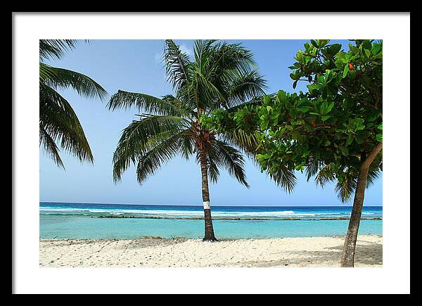 Barbados Framed Print featuring the photograph Clear Blue Ocean by Catie Canetti