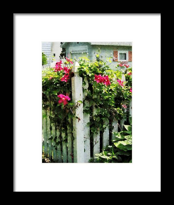 Clematis Framed Print featuring the photograph Clematis on Fence by Susan Savad