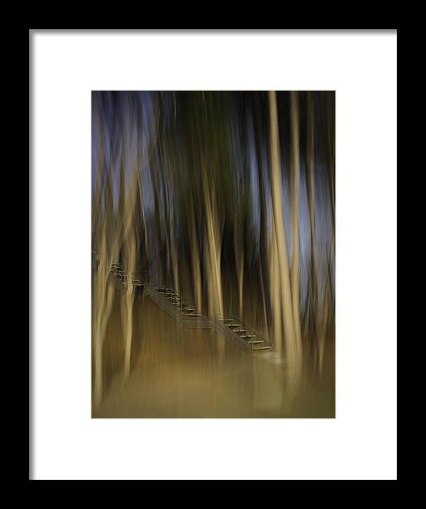 Abstract Framed Print featuring the photograph Climbing Stairs Into The Forest by Thomas Young