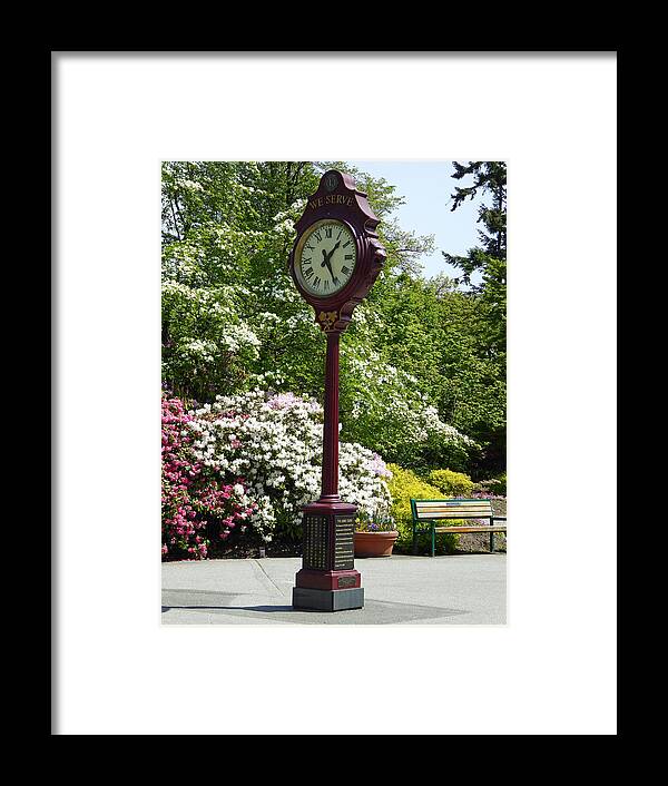 Park Framed Print featuring the photograph Clock in Park by Laurie Tsemak