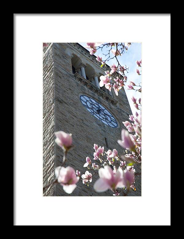 Clock Tower Framed Print featuring the photograph Clock Surrounded by Monroe Payne