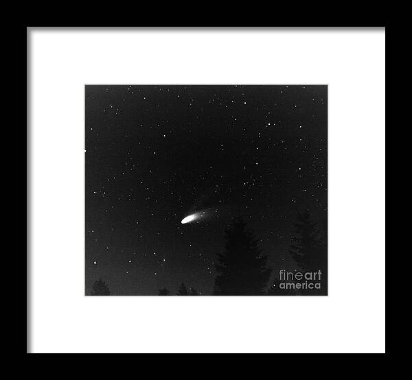 Pacific Framed Print featuring the photograph Close Encounter 2 by Nick Boren