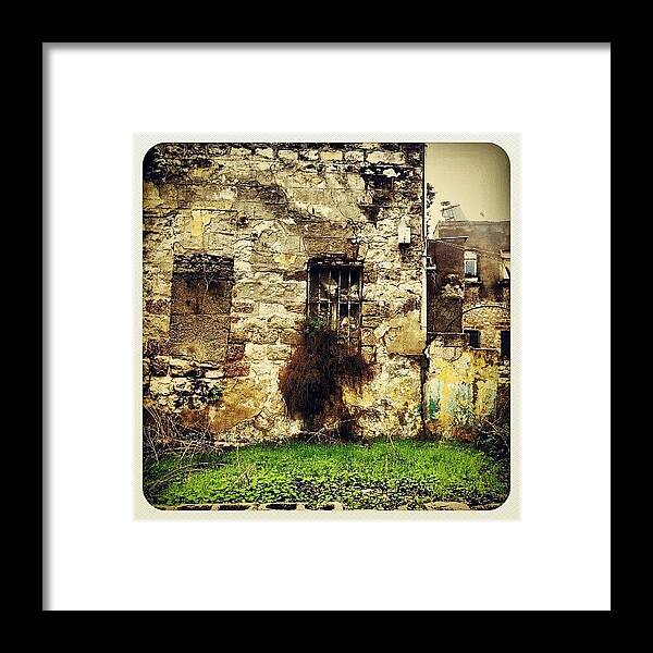 Urban Jungle Framed Print featuring the photograph Closed Composition 16112012 by Dorit Stern