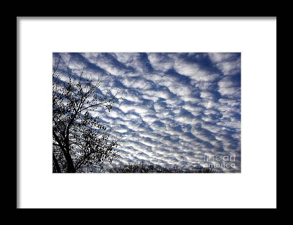 Sky Framed Print featuring the photograph Cloud of Cotton balls by Yumi Johnson