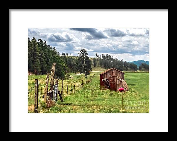 New Mexico Framed Print featuring the photograph Cloudcroft Meadow by Randy Jackson