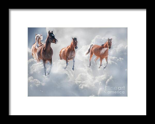 Horse Framed Print featuring the photograph Cloudrunners by Sari ONeal