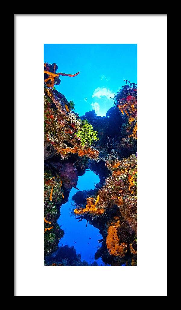 Underwater Photography Framed Print featuring the photograph Clouds in the sky by Paula De Baleau