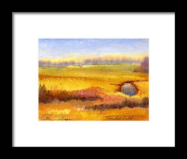 Watercolor. Acrylic Framed Print featuring the painting Coastal Gold by Peter Senesac