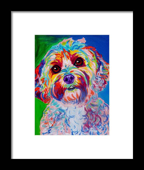 Poodle Framed Print featuring the painting Cockapoo - Carmie by Dawg Painter