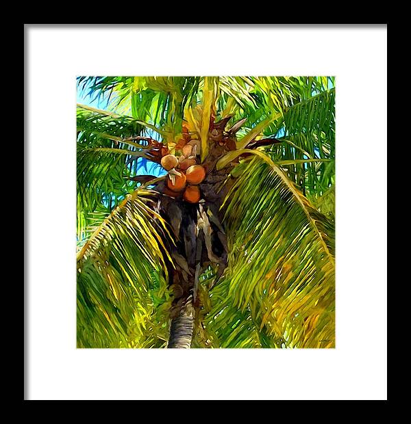 Coconut Palm Tree Framed Print featuring the painting Coconut Palm Tree by Stephen Jorgensen