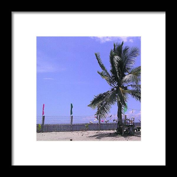 Coconut Framed Print featuring the photograph Coconut by Zyrah Mae
