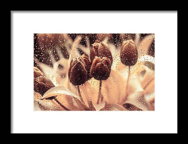 Tulips Framed Print featuring the photograph Coffee Tulips by Jenny Rainbow