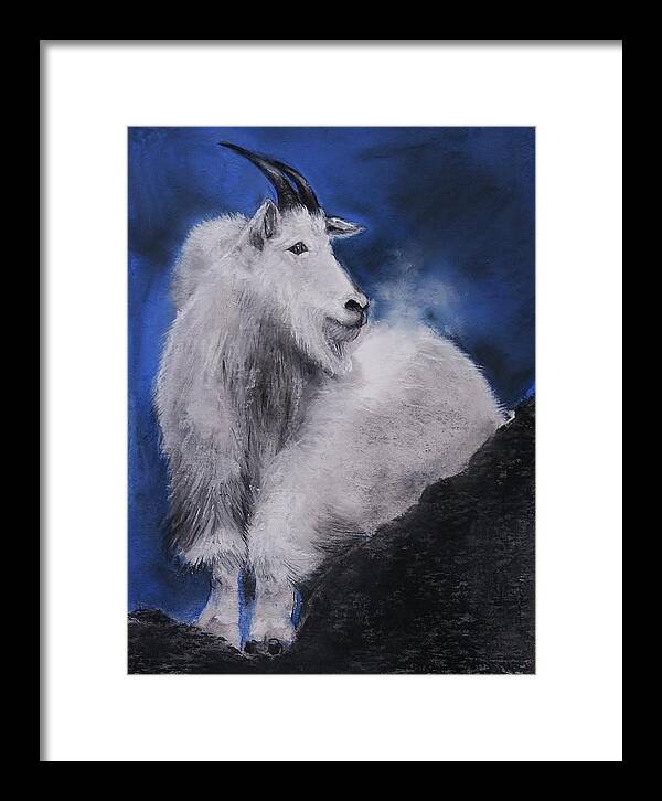 Mountain Goat Framed Print featuring the drawing Cold Night Air by Jean Cormier
