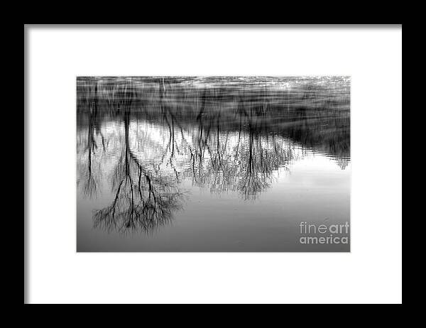 River Monochrome Framed Print featuring the photograph Cold Reflection by Michael Eingle