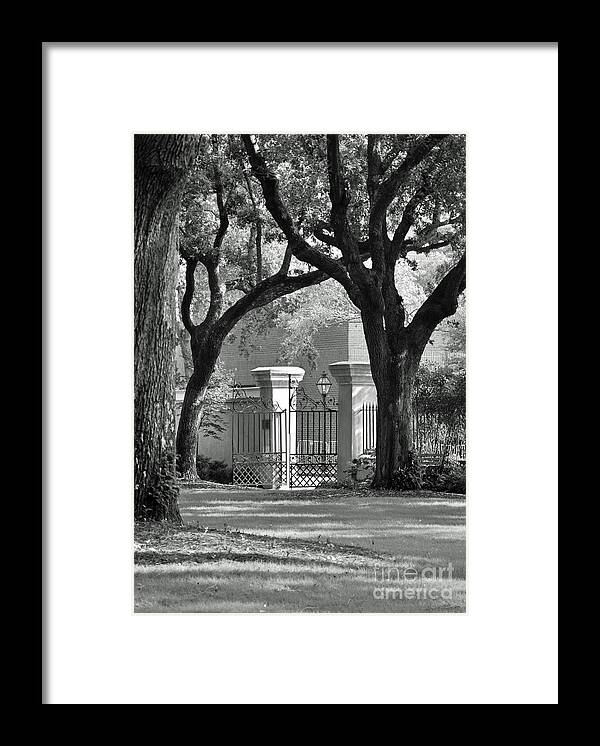 History Framed Print featuring the photograph College of Charleston Gate by Susan Cliett