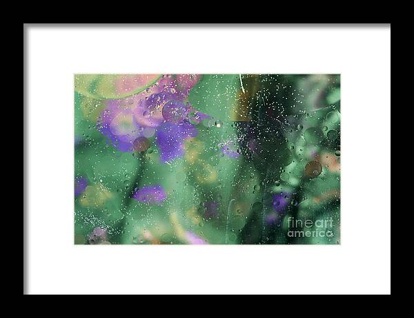Color Framed Print featuring the photograph Color Abstract 4 by Catherine Lau