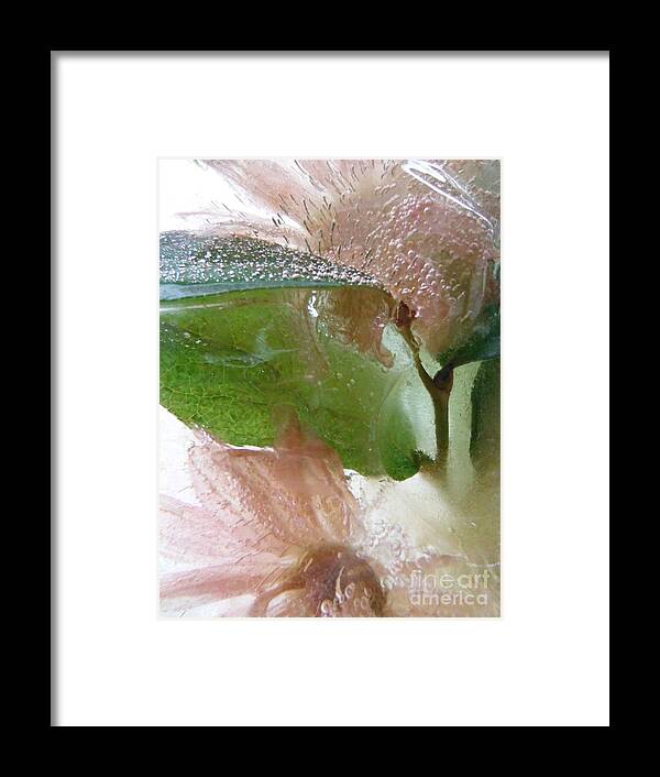 Color In Ice Series Framed Print featuring the photograph Color In Ice Series 127 by Paddy Shaffer