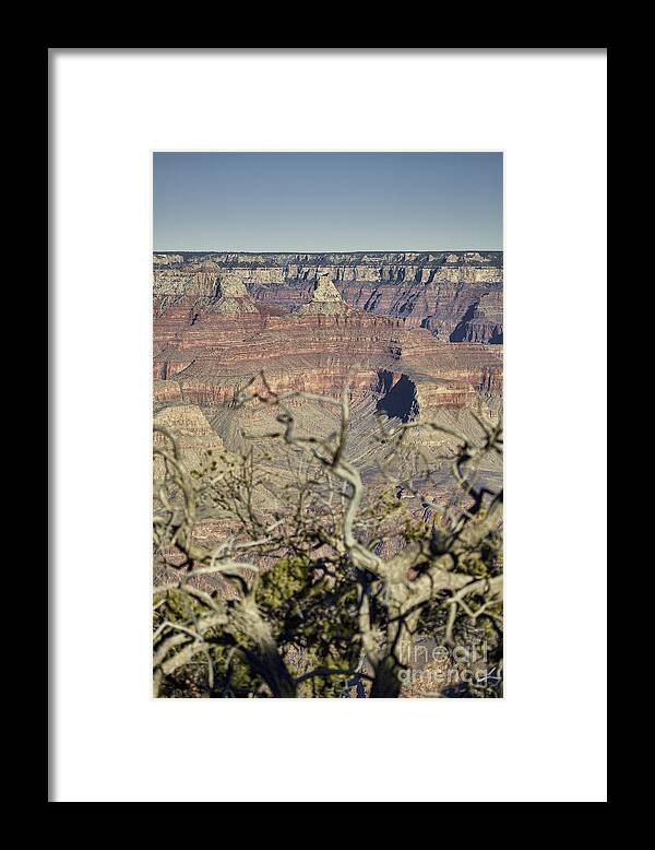 Color Framed Print featuring the photograph Color of the Grand Canyon South Rim V2 by Douglas Barnard