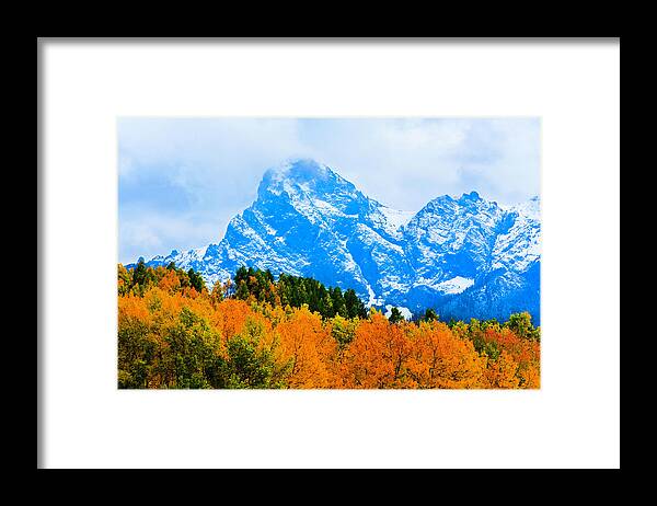 Scenics Framed Print featuring the photograph Colorado Autumn Foliage And Snow-capped by Dszc