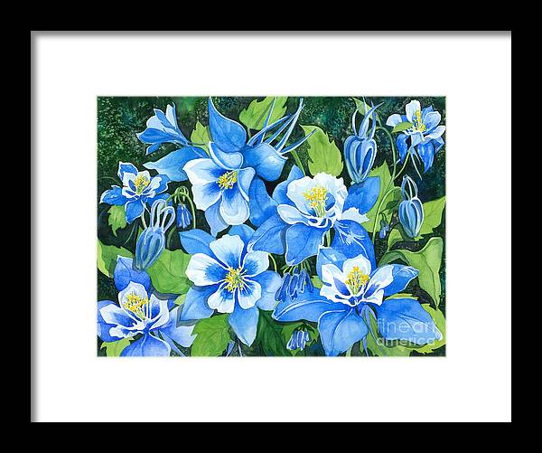 Flowers Framed Print featuring the painting Colorado Columbines by Barbara Jewell