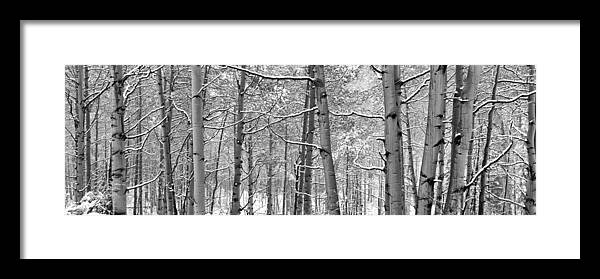 Black & White Image Framed Print featuring the photograph Colorado First Snow by Eggers Photography